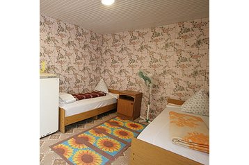 Krievija Privát Vitjazevo, Eksterjers